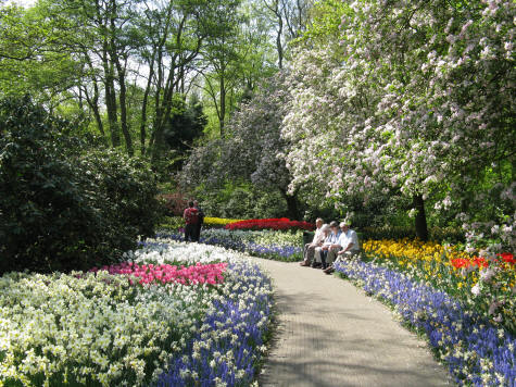  Keukenhof Gardens, Netherlands