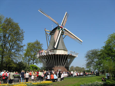 Windmill at Keukenhof Gardens