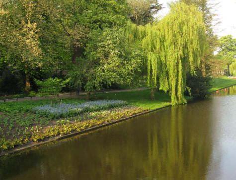 Van der Wefpark, Leiden Netherlands